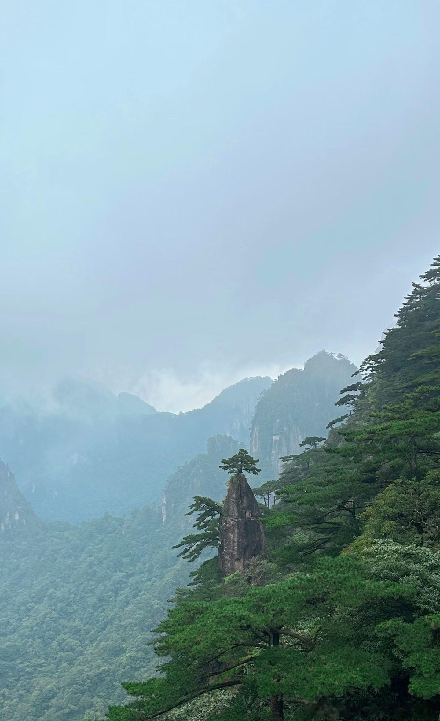 📍Huangshan•黄山“五岳归来不看山，黄山归来不看岳”​​​