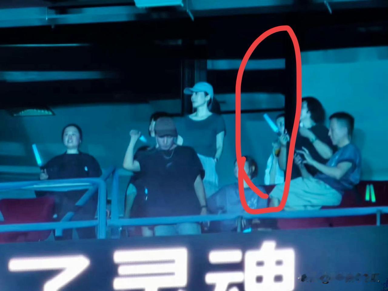 王菲去看谢霆锋演唱会对窦靖童歌手比赛不闻不问我挺能理解的，因为窦靖童29岁了，