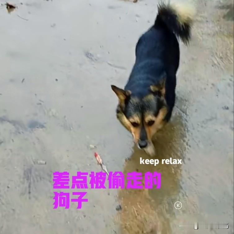 男子正在家里做饭，突然听到外面有狗叫声，叫得还比较激烈，于是放下手中活计，赶紧出