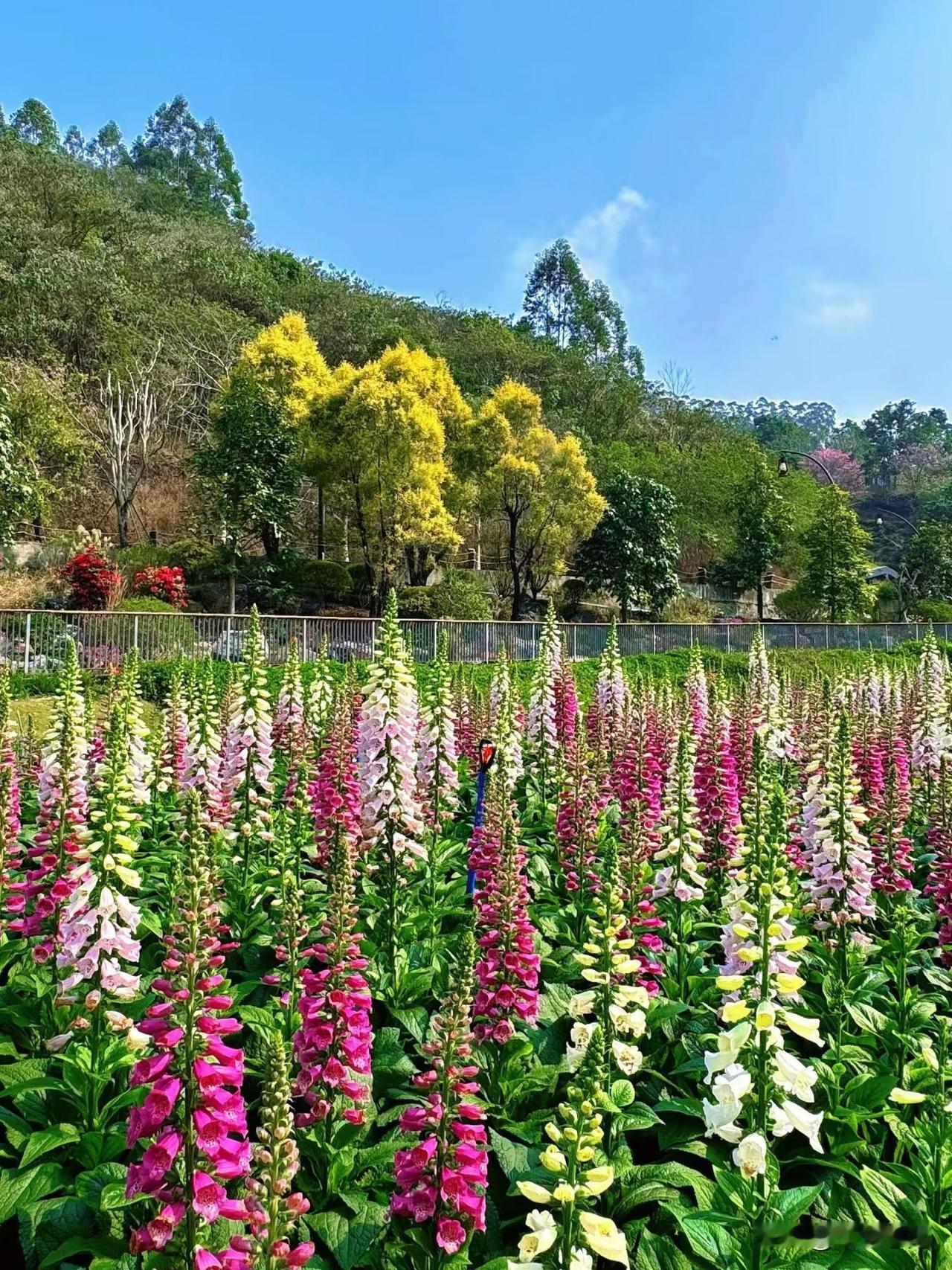 一位著名医学家说:”如果你已经生病了，尤其是得了一些重大疾病，比如癌症，比如无法