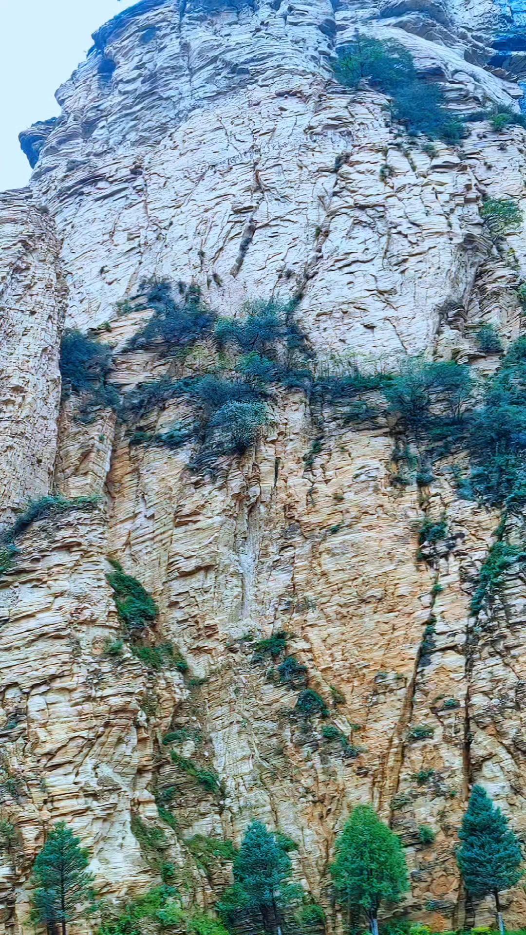🌄跟着镜头云游黄山，才发现慢下来看风景的美好。爬天都峰时腿抖，站在光明顶看到云