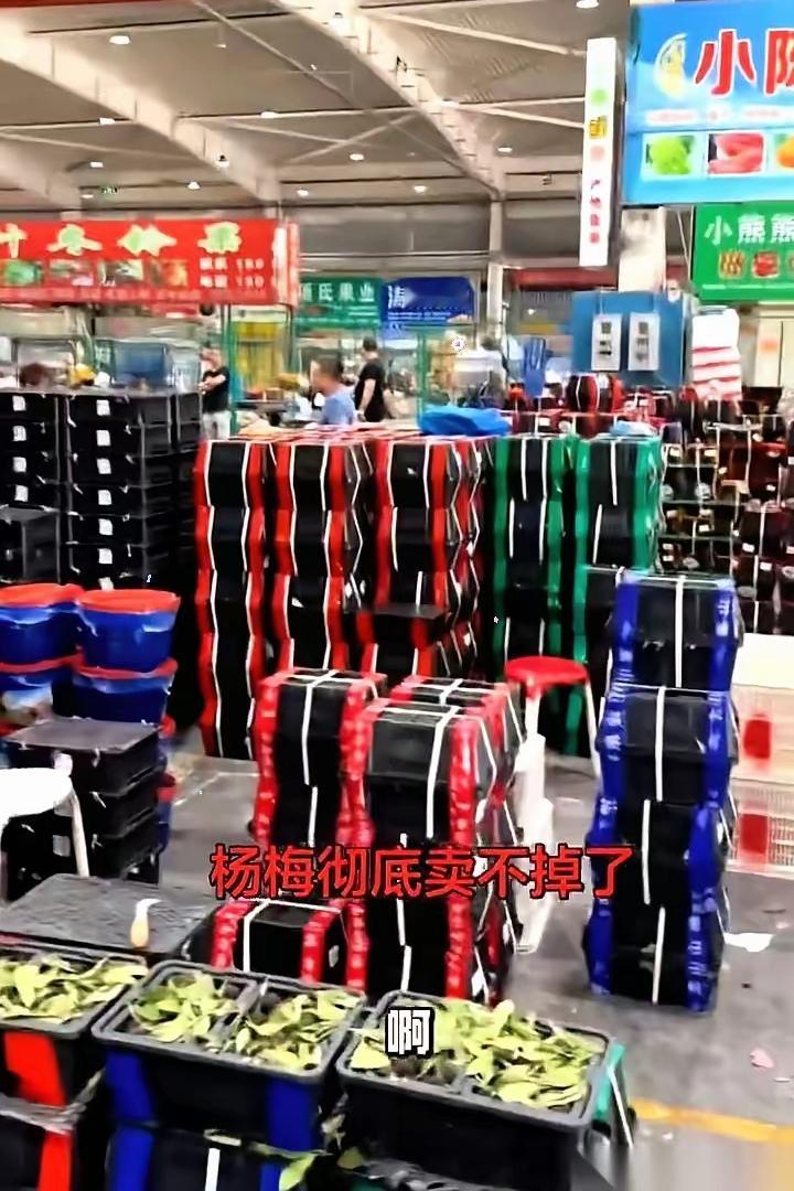 5月17号，宁波水果批发市场。一筐杨梅，昨天还贴着200块的价，今天老板直接用