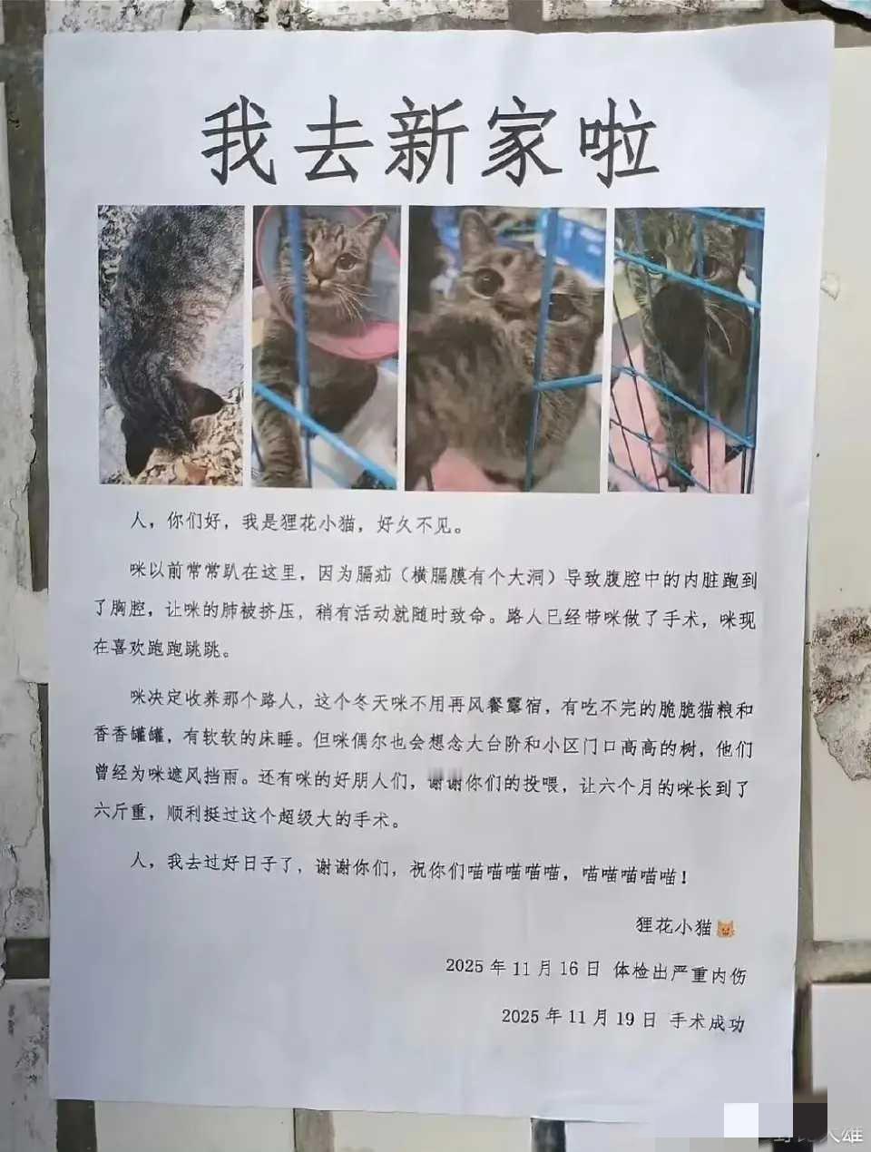 一张告示，让整个小区都被治愈了