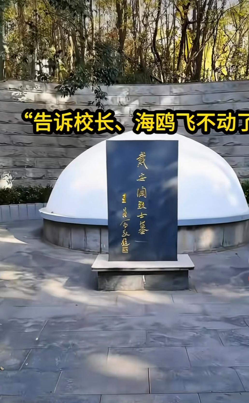 国共两党都给予很高评价的黄埔三期戴安澜将军！临终遗言：告诉校长，海鸥飞不动了！此