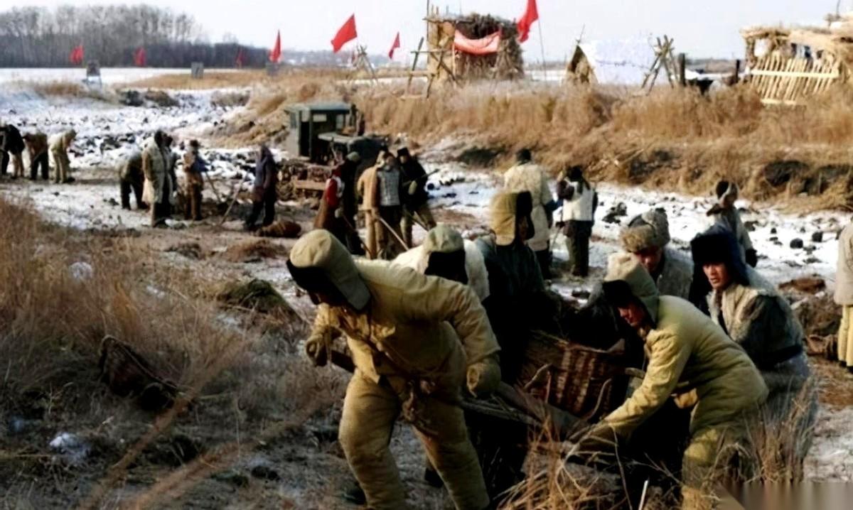 疯了吧？把咱国家最大的粮仓，那片能养活一亿人的黑土地，说不种就不种了？我第一