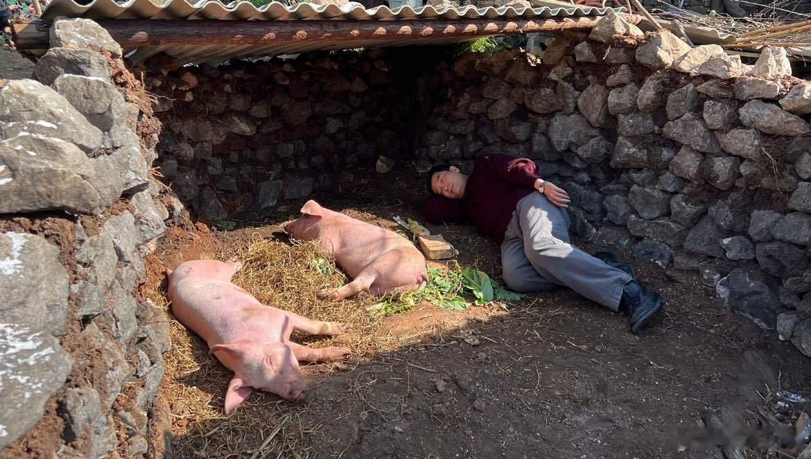 梅婷现场打卡猪圈梅婷猪圈打卡梅婷现场打卡猪圈