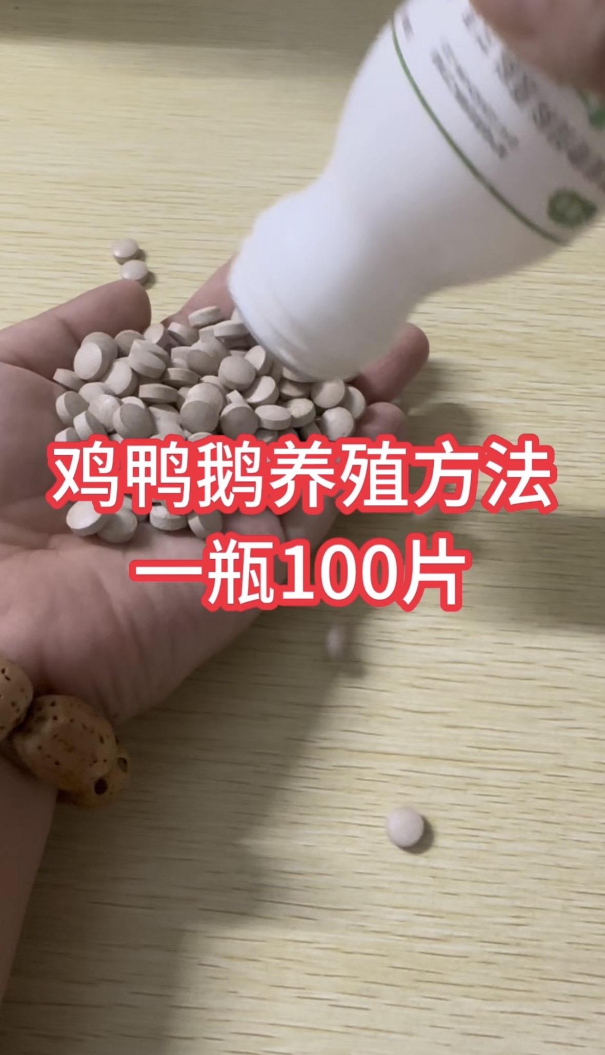 鸡鸭鹅养殖养鸡小妙招农村散养土鸡鸡鸭鹅养殖