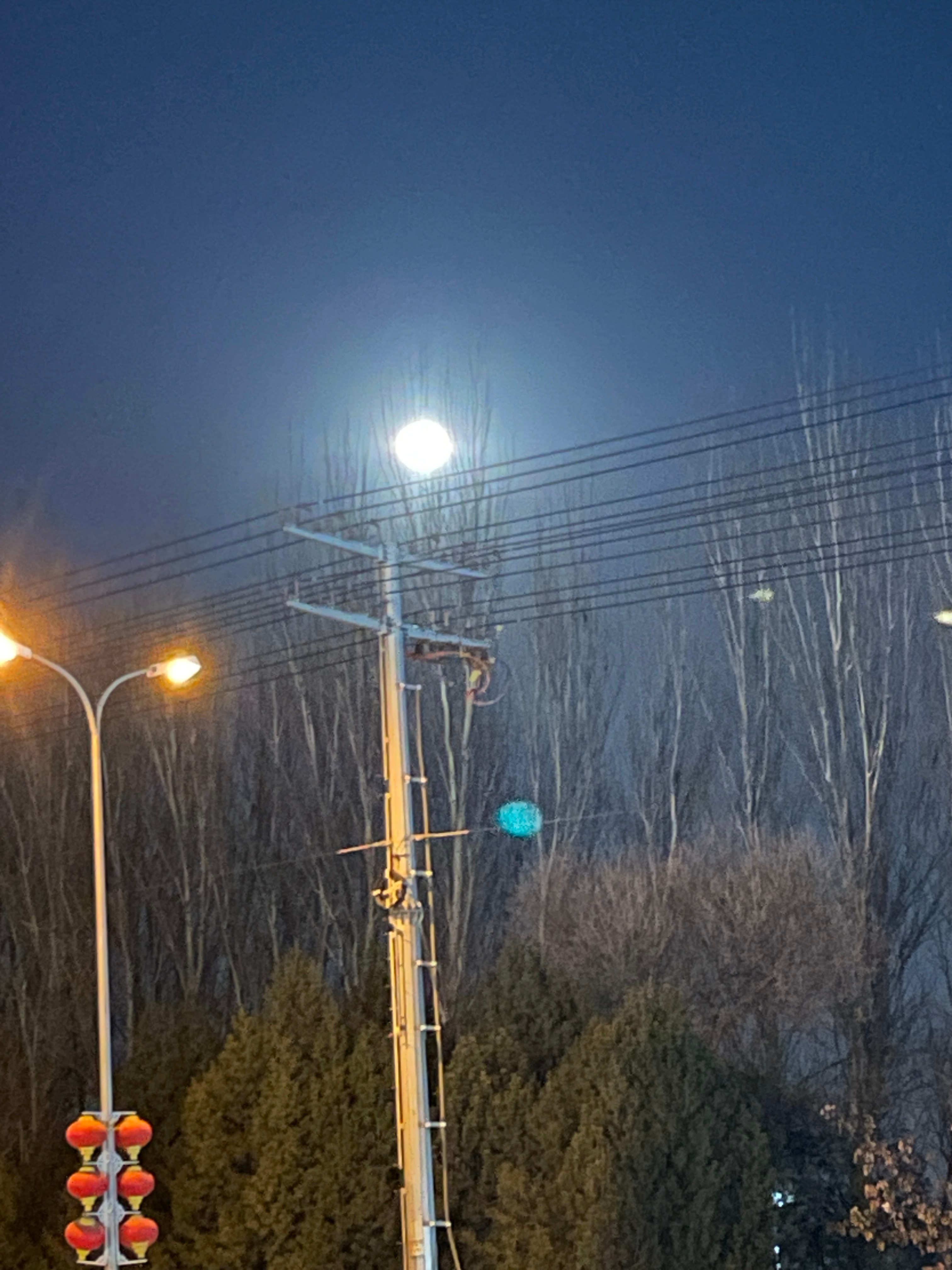 今晚的月亮又大又圆，难道今天是十五？