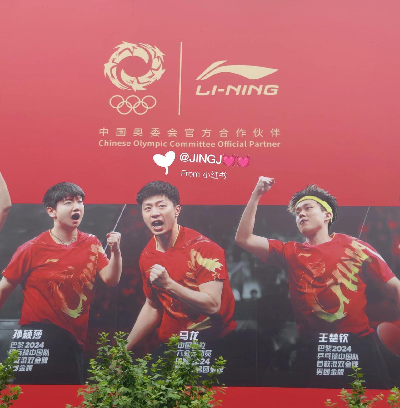 龙队的影响力来了，带着接班人！排面给足，王楚钦跟着龙队长大，现在还能一起，孙颖
