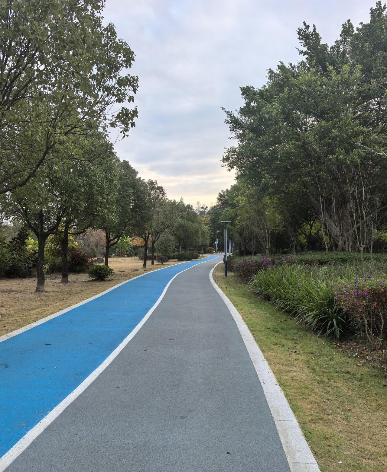 跑步者，必短命这话竟然得到了很多人的支持和赞同。你见过跑步的