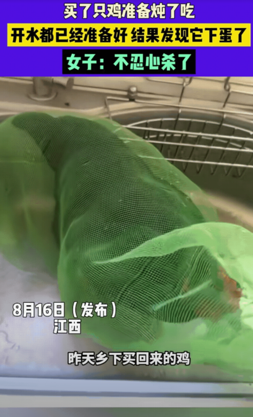 赚大发了！江西一名女子想吃鸡肉了，因觉得饲料喂出来的鸡不好吃，于是便跑到乡下农村