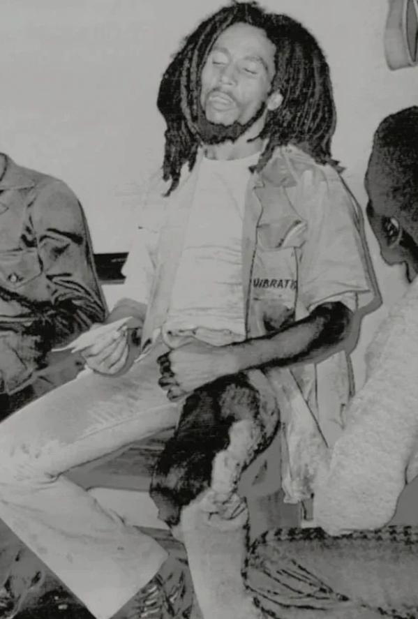 1976年，枪手闯入鲍勃·马利位于金斯顿的家中，子弹擦伤了他的妻子丽塔的头部，一