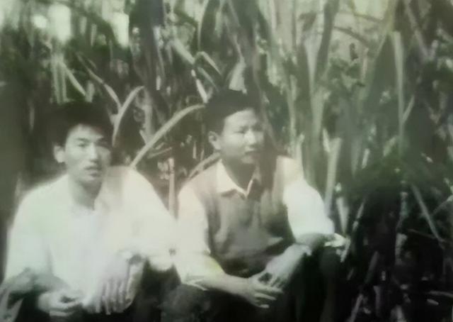 1978年，上海一男知青为了回城，抛弃了农村妻子。分别时，妻子哀求地说：“带着我