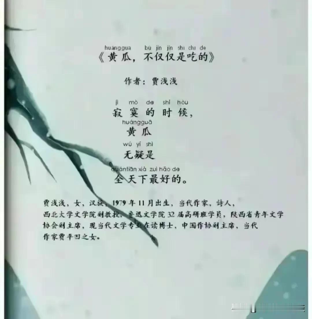 看了贾浅浅的诗，你会骂娘的。这也是进了作协的诗人，她能写这样的诗发表，我要是写这