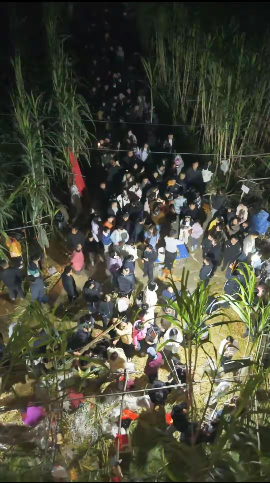 9.9元偷甘蔗狂欢后，流量如何变“留量”？四川眉山一片45亩的甘蔗地，因“9.