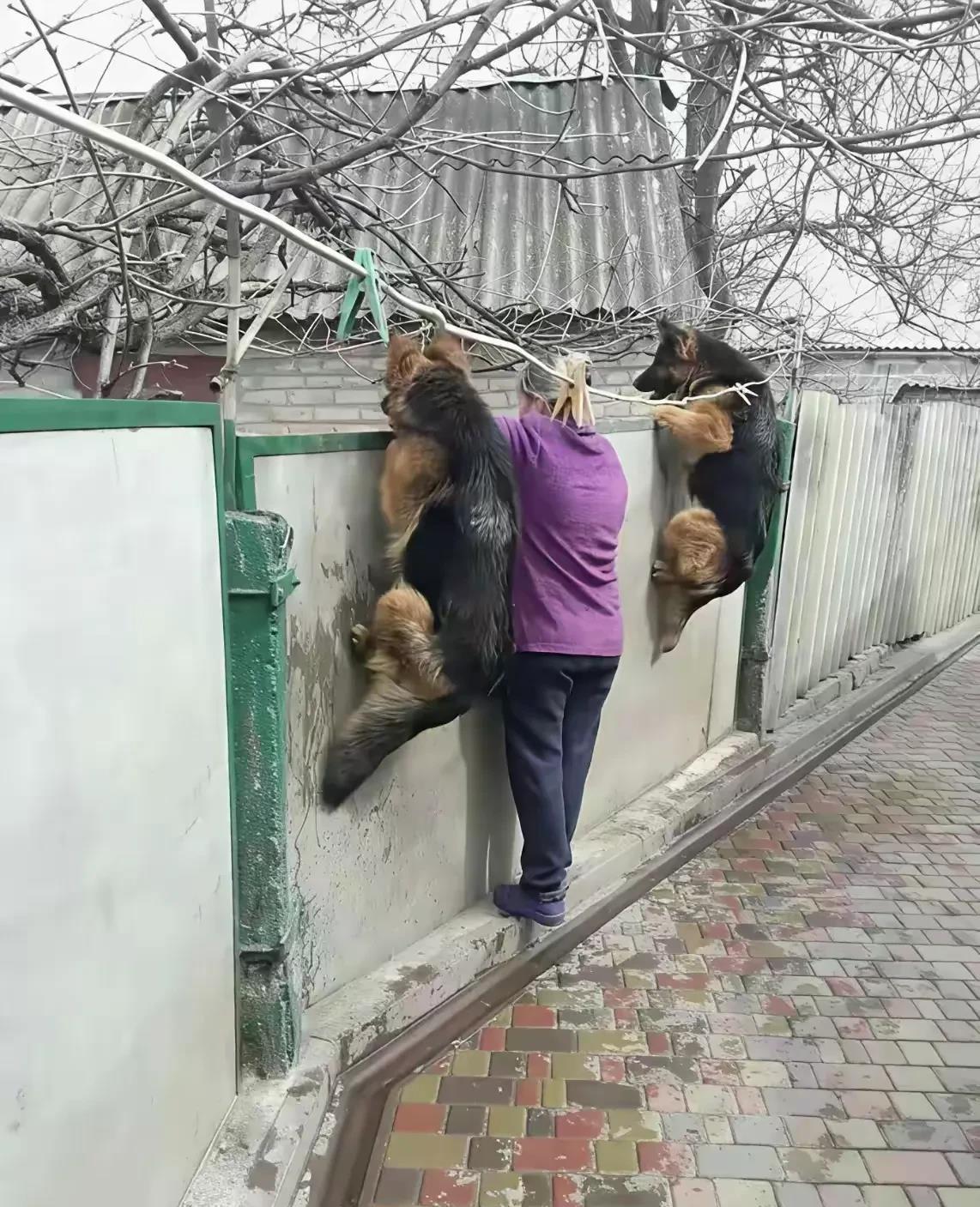 吃瓜，看热闹，我们是共通的