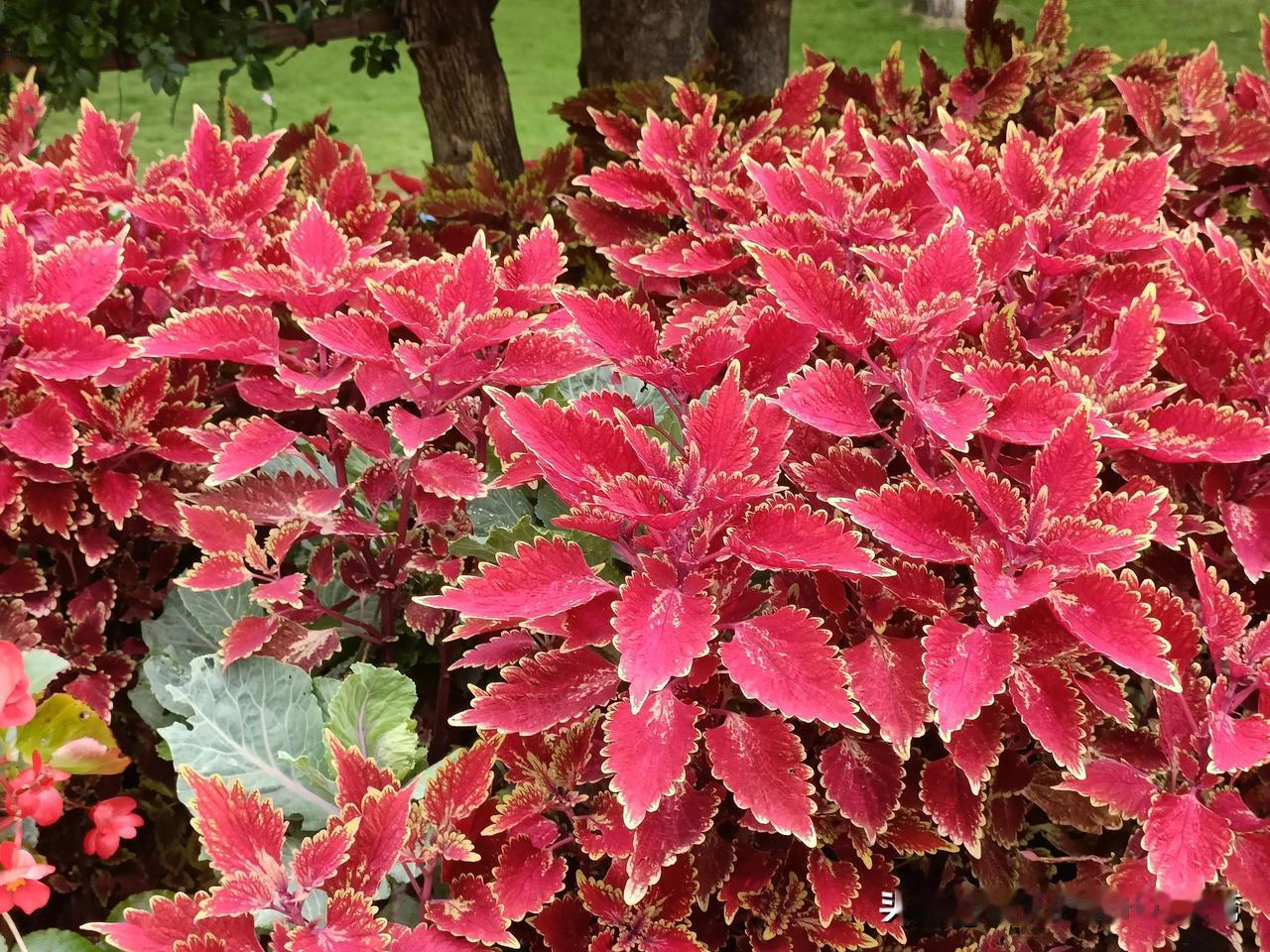 这辈子，半夜能从被窝里爬起来，给你倒杯热水的，估计只有自己的爸妈了。小时候，只