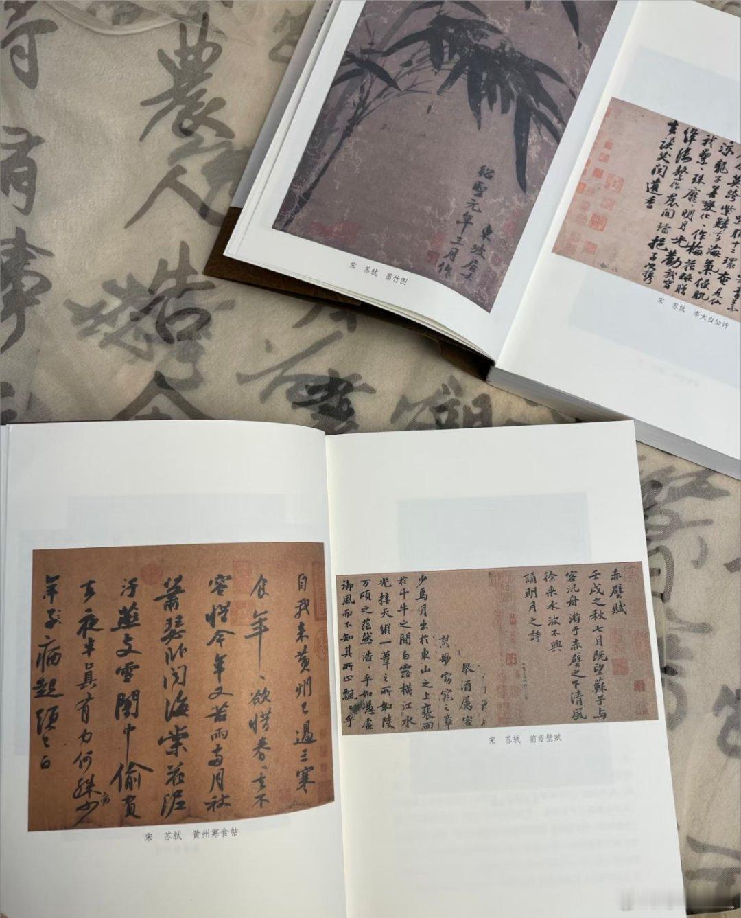 阅读是我的精神自留地这届微小说作者全是狠人书评《苏东坡新传》人生为何不快乐