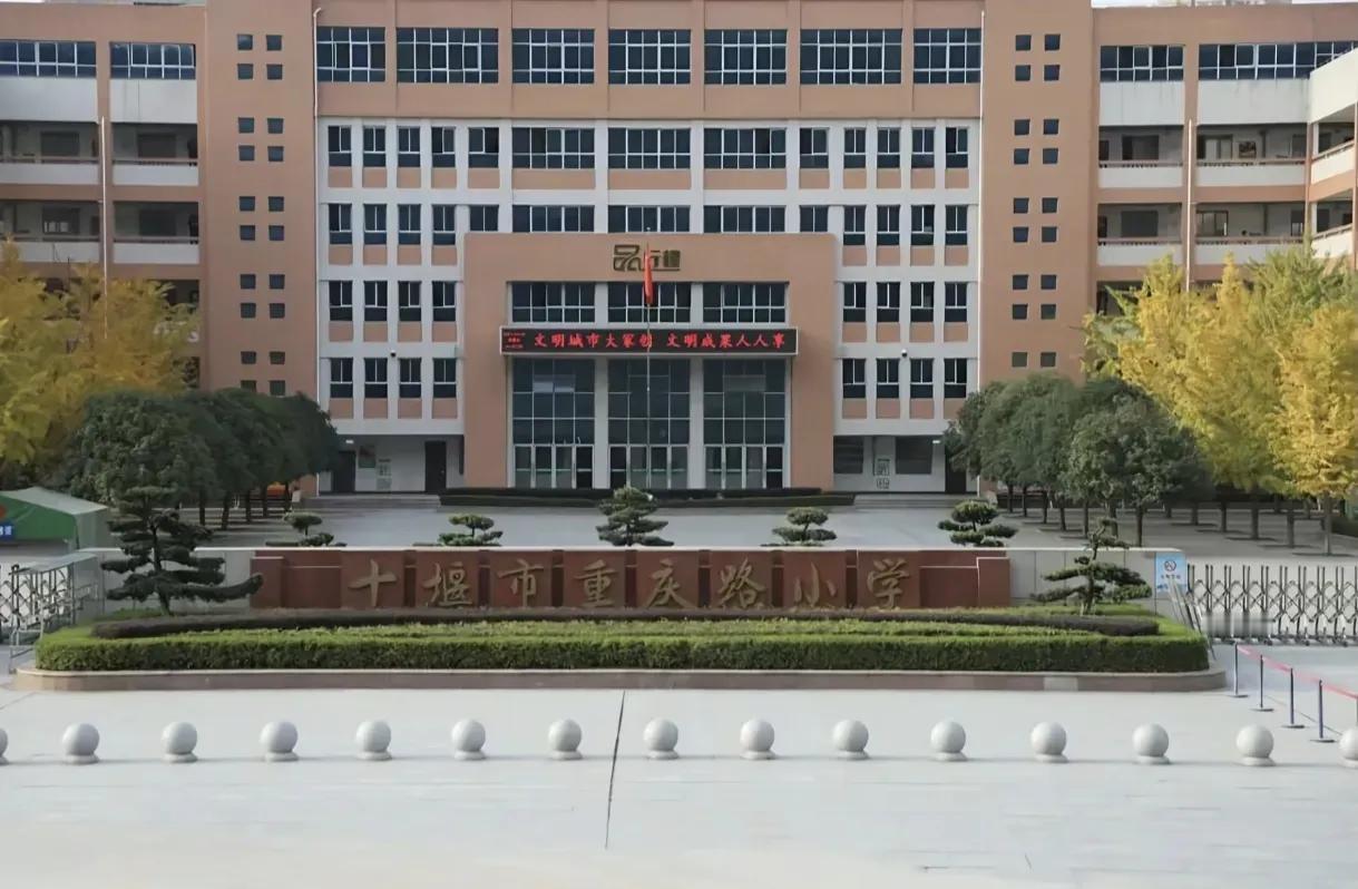 十堰小学，感觉都知道了​​​有网友评论说：​1，它们说只有一朵，还有四朵