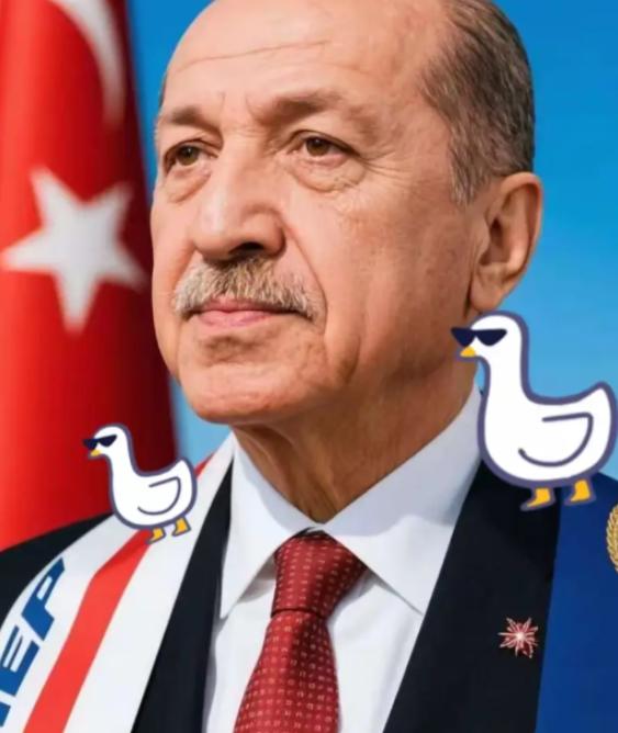 [点赞]这次土耳其算是彻底打错了算盘！以为还能像当年卡我们要道那样，逼着中国企