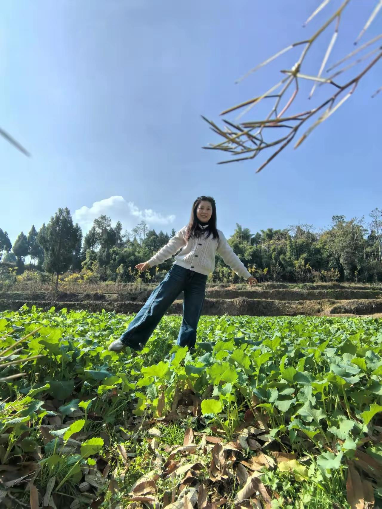 家乡菜园风景随手拍晒出镜头下的田野风光