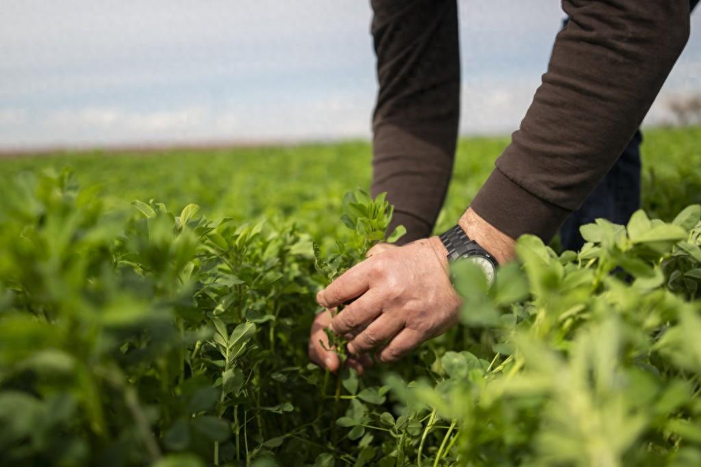 想拿中国尿素救春耕？先把欠中企的百亿欠款还了！否则一粒不售今年春耕，印度遇到