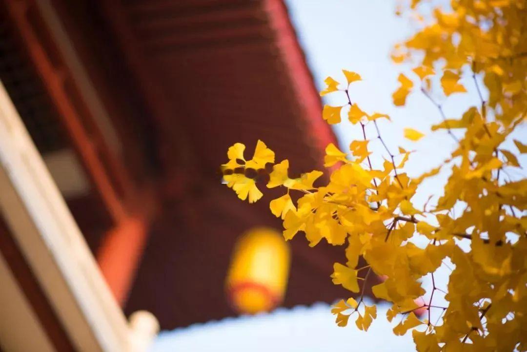 接诊一黑龙江患者，因为鼻炎加重求诊，我问他什么时候加重明显？他尴尬说，房事频繁后