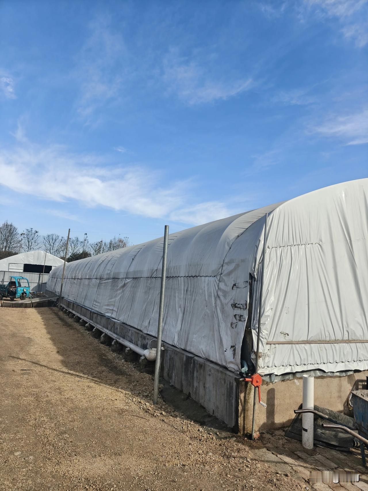 宝子们快来看！这大白棚子是不是很显眼？别以为是种菜的大棚哦～其实它是养殖的“秘密