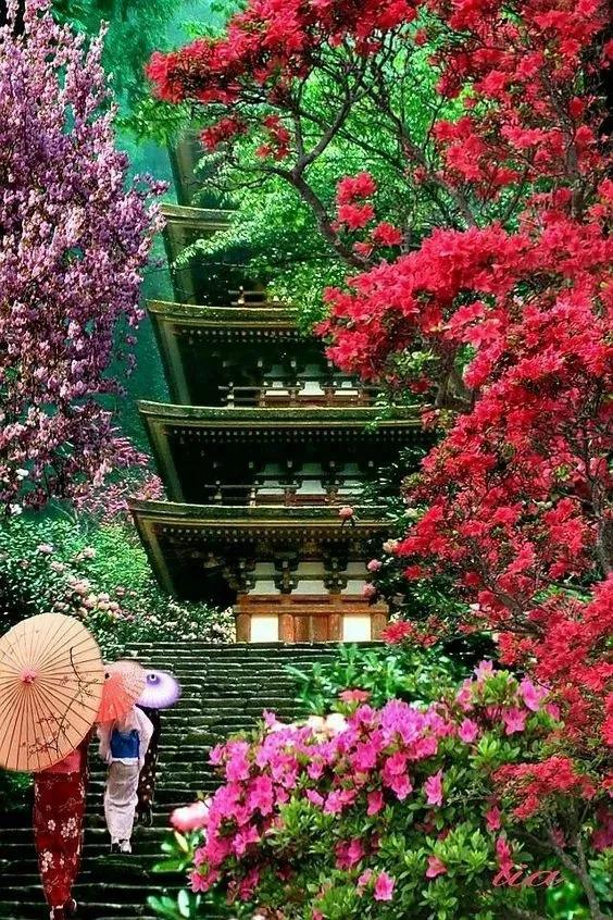 古寺无灯凭月照，空阶不语任霜凝。