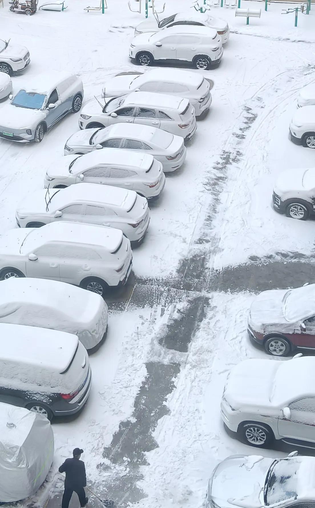 1月24日的这一场雪是兰州近年来降雪量最大的一场。兰州市有些地方降雪量有十五