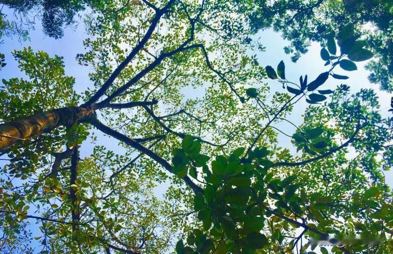 还不上就不还，不要再为难自己了！人活着就有希望，活着就能改变一切！一切苦难都