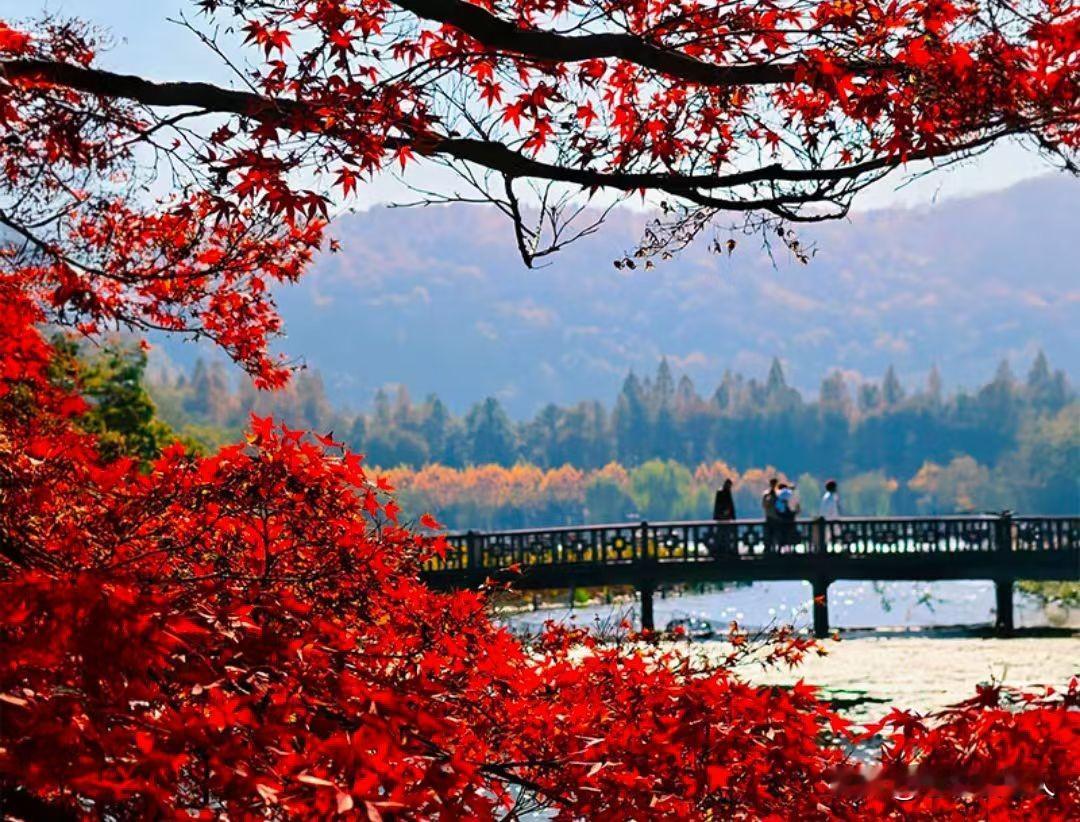 2026年农民养老金真涨了！国家和地方双重补贴，每月能涨多少钱？2025年底，