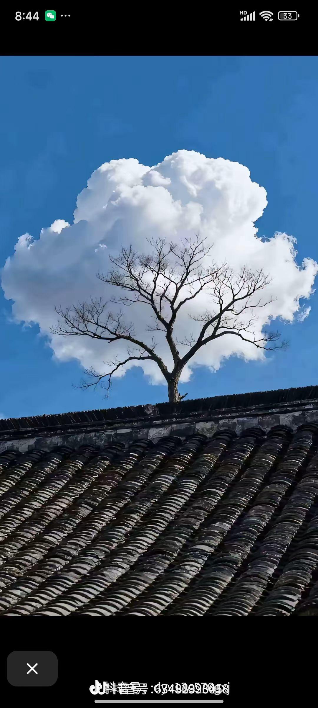 有没有好看的风景图片分享