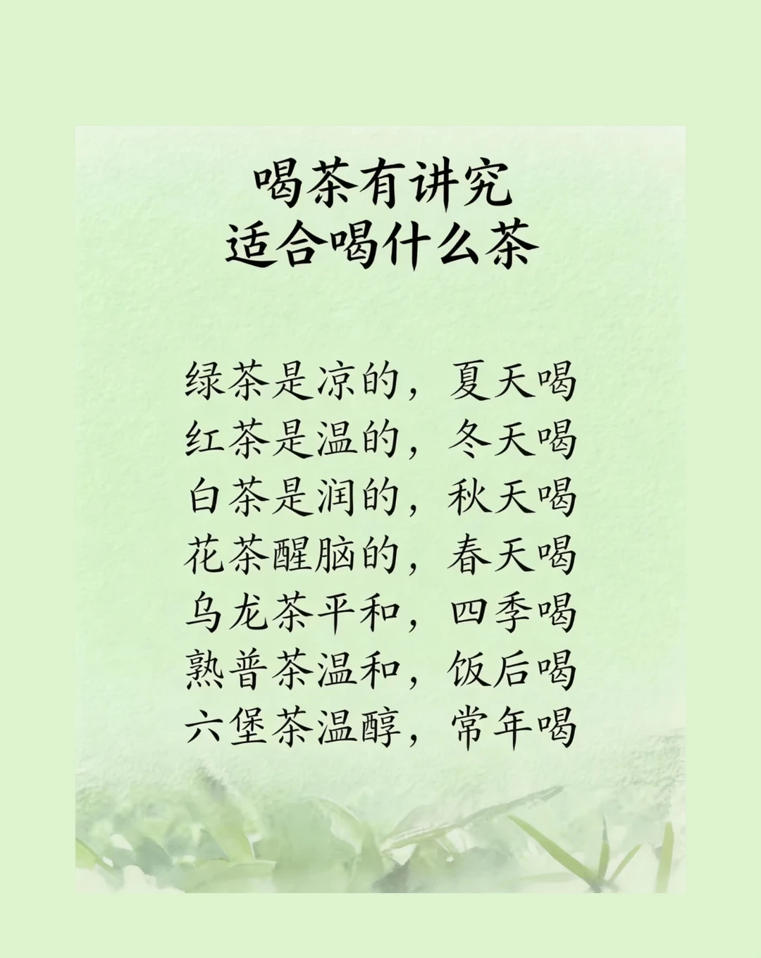 喝茶有讲究｜顺应时节选茶指南