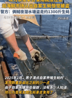 心不是一般的大！广东深圳，一男子养殖的生蚝总是莫名消失，他以为是亲友拿走吃了，就