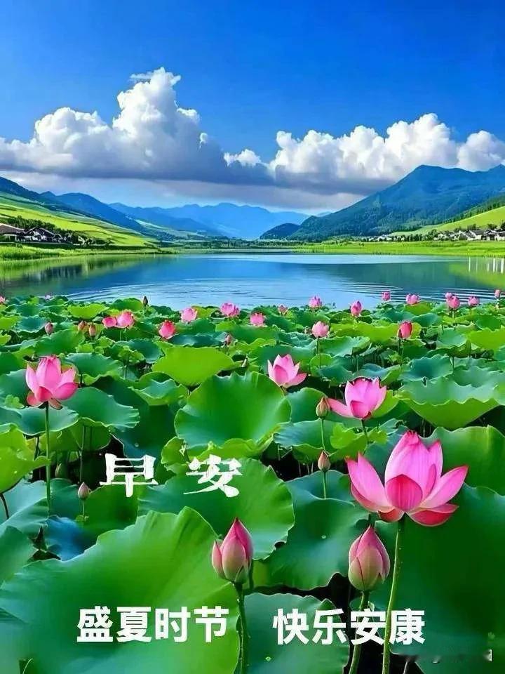 《清平乐·晨安寄友》晓来情妙，开屏寻君早。一句晨光安好道，捎上满心祈祷