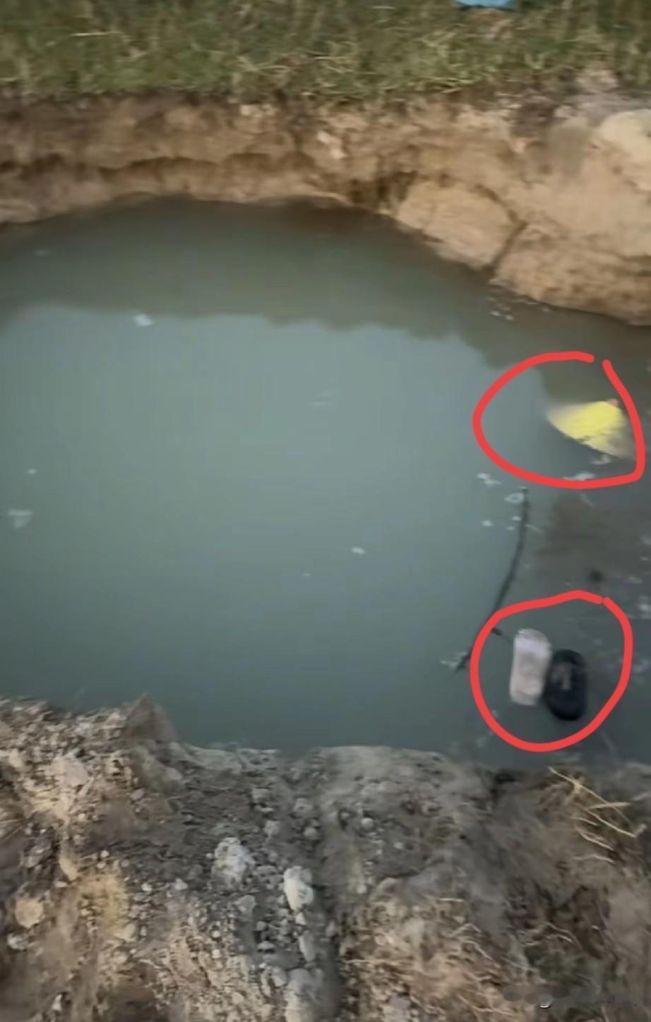 这就是海南乐东县母子俩溺亡的水坑，俩人的遗体已经打捞上来，但是两人的鞋和帽子还漂