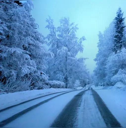 当连续5天日平均气温低于10度的时候，就进入了气象学意义上的冬天了。
