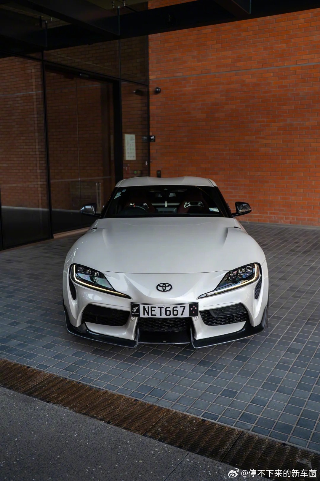 素雅的Supra也别有一番风味~