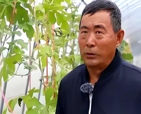 翻开关于黑龙江瓜农姜向涛的这篇事迹报道，一个极度反常的场面直接砸到眼前。300