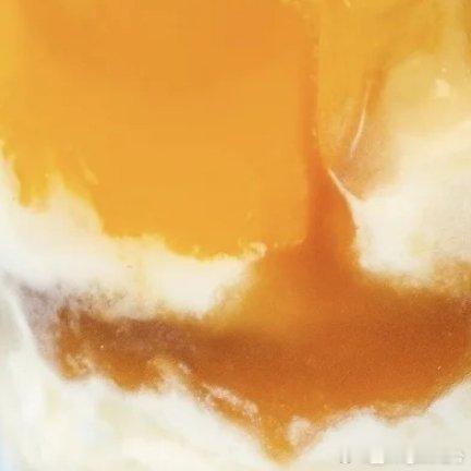 茶百道茶百道茶百道新品|这杯是为冰淇淋脑袋量身定做！谁懂啊！一整颗超大绵密香草