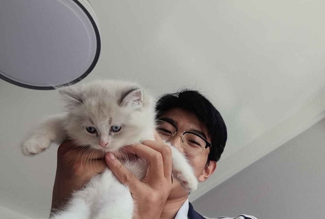 家里的母猫生了小猫，孩子在逗猫玩的时候，我给他们拍了一张照片，突发奇想就把这张照