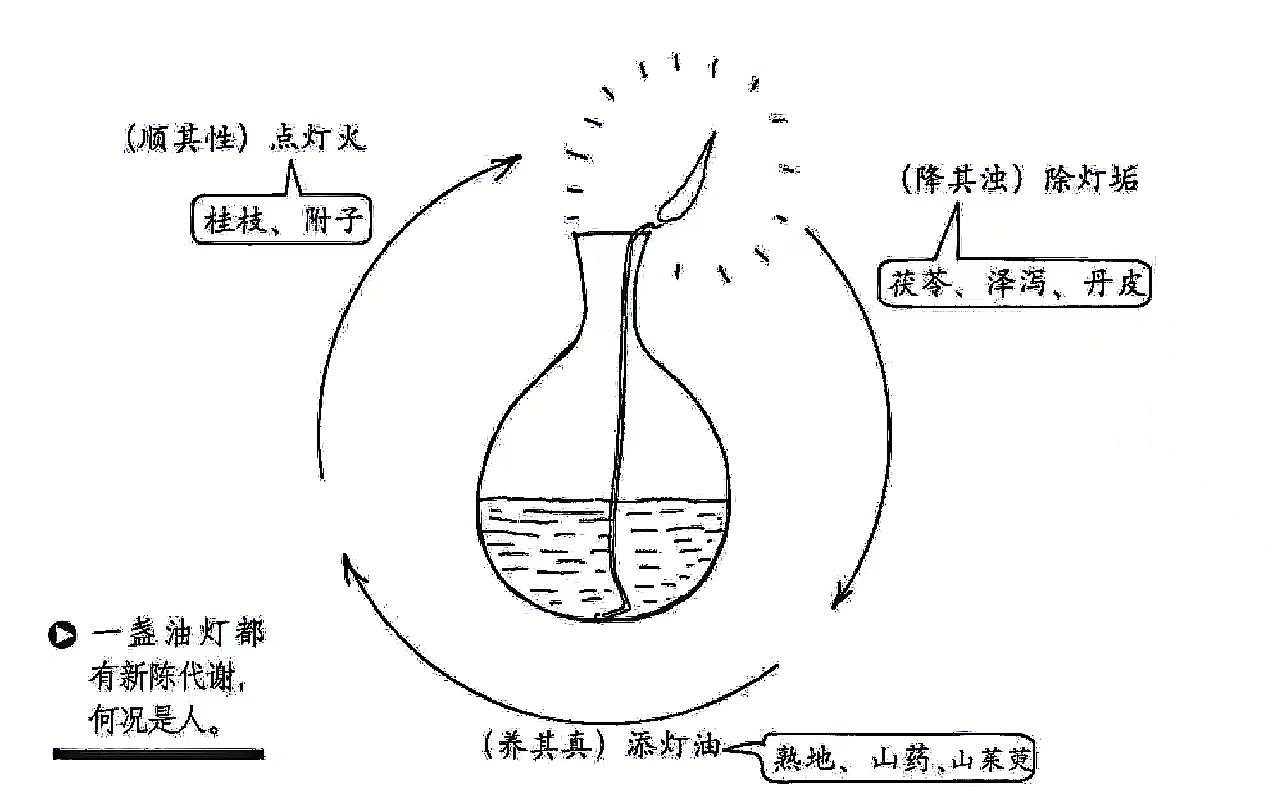 张仲景说：补肾，就跟点灯一个道理肾虚不会补的朋友，来看看这张图。这是张仲景