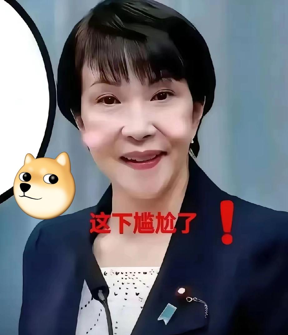 不接待，日本访华了当地时间5月12日，日本方面透露，日中经济协会考察团在5月1