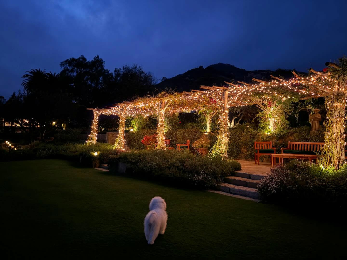 大布布鲁克林分享和爱妻NicolaPeltz日常秀恩爱新照！