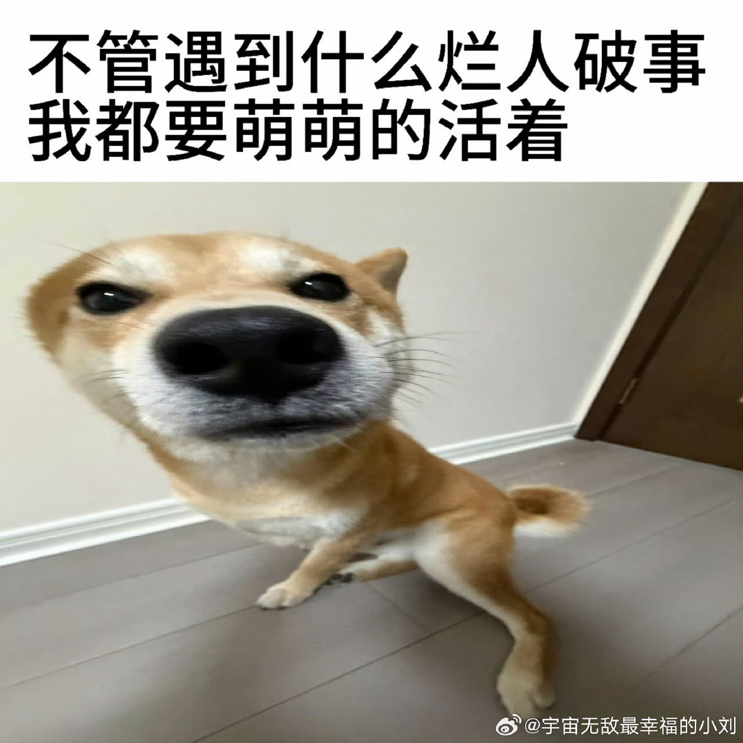 这个点下班还遇到堵车真是酣畅淋漓啊​
