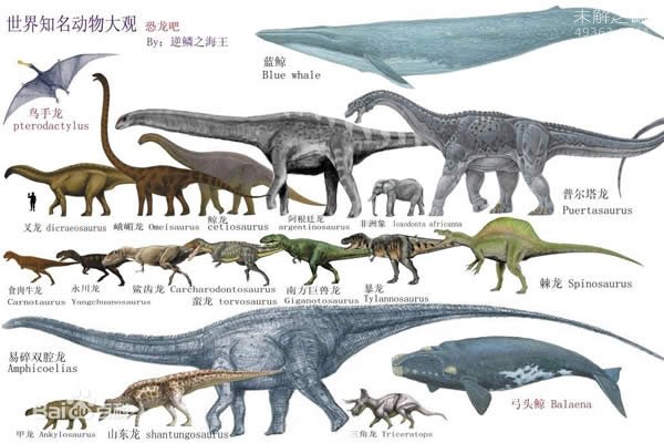 易碎双腔龙系是世界上最大的恐龙(重可达220吨)