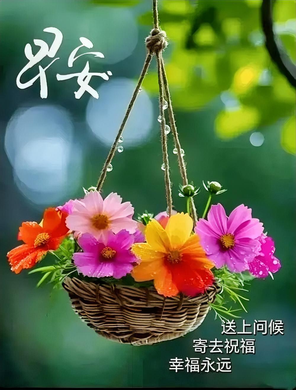 早安！花篮摇曳，雨露晶莹，把平安与祝福寄给你，幸福永远不打烊～