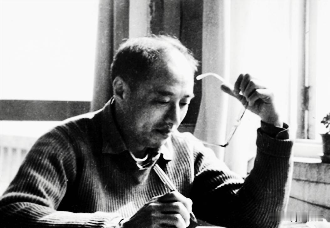 1986年，65岁的火箭专家杨南生娶了29岁的张严平，张严平的父母不同意，不料，