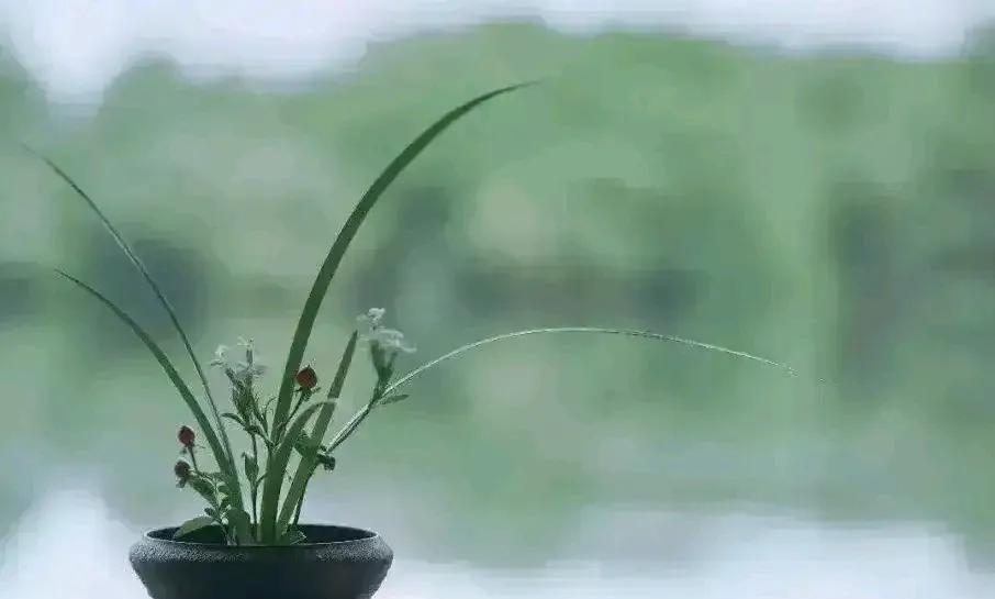 穷人就不要生孩子了！早上在超市门口碰到表姐，聊了一会，正好她上大学的女儿打电话